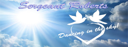 Sergeant Roberts - Home of Inspired Dancing In The Sky Decals and Jewelry